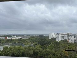 Blk 547 Pasir Ris Street 51 (Pasir Ris), HDB Executive #519672351